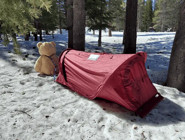 Bear carrying survival tent to show size difference